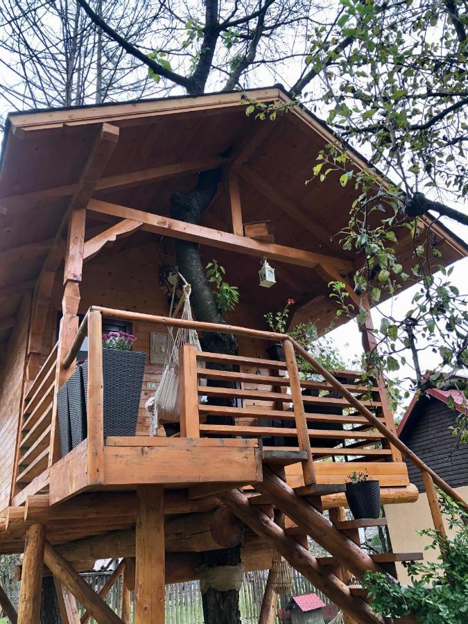 Вилла Domeniul Horj Casa Din Cires Мойсей Экстерьер фото