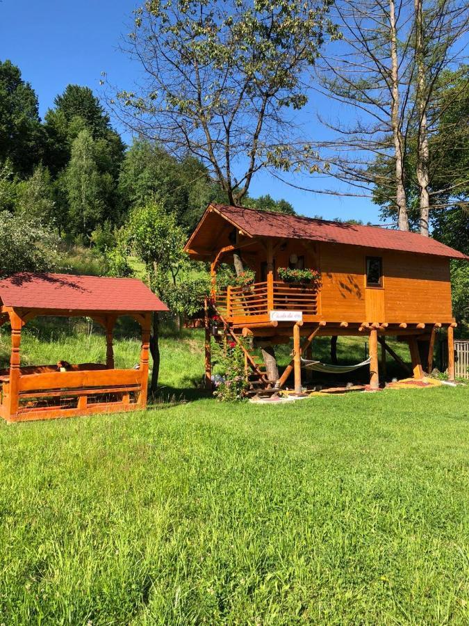 Вилла Domeniul Horj Casa Din Cires Мойсей Экстерьер фото