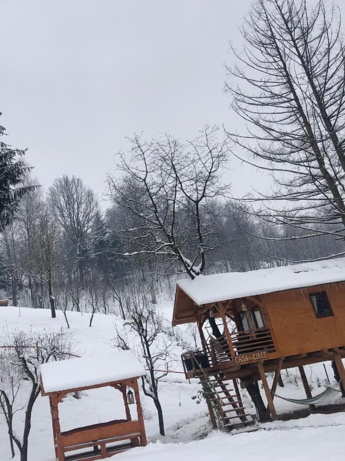 Вилла Domeniul Horj Casa Din Cires Мойсей Экстерьер фото