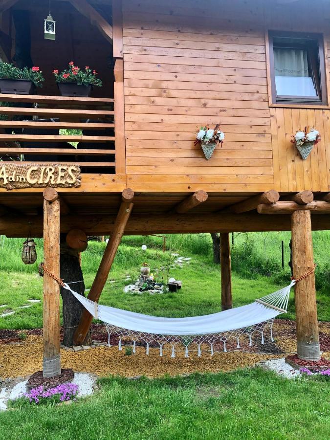 Вилла Domeniul Horj Casa Din Cires Мойсей Экстерьер фото