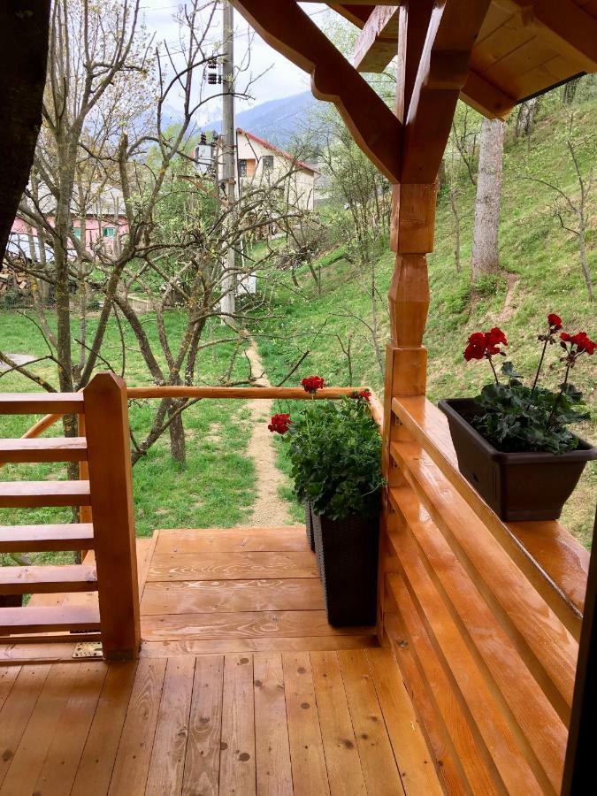 Вилла Domeniul Horj Casa Din Cires Мойсей Экстерьер фото
