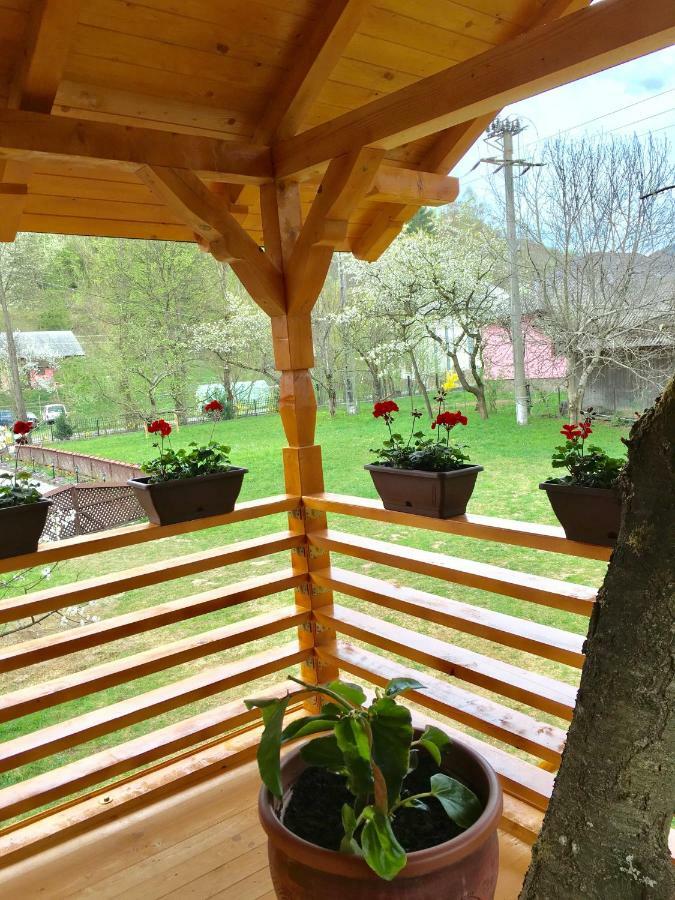 Вилла Domeniul Horj Casa Din Cires Мойсей Экстерьер фото