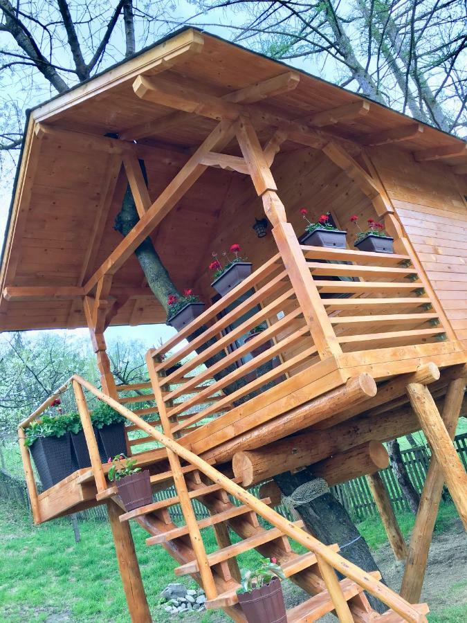 Вилла Domeniul Horj Casa Din Cires Мойсей Экстерьер фото